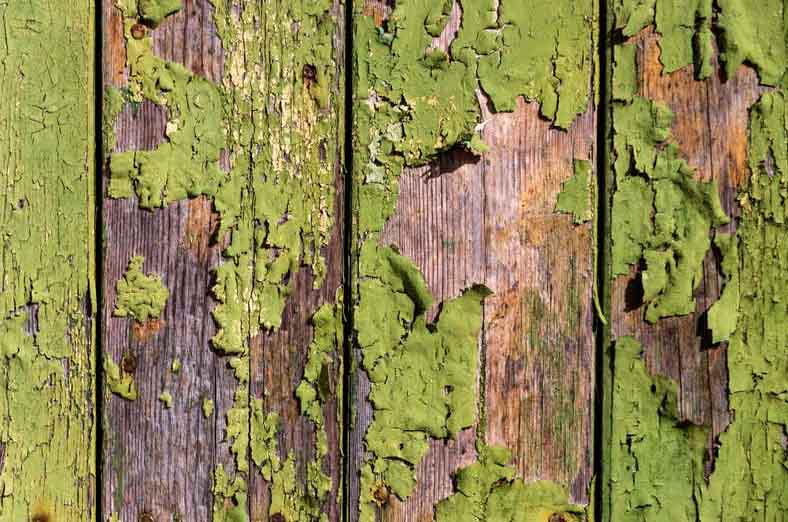 different type of mould