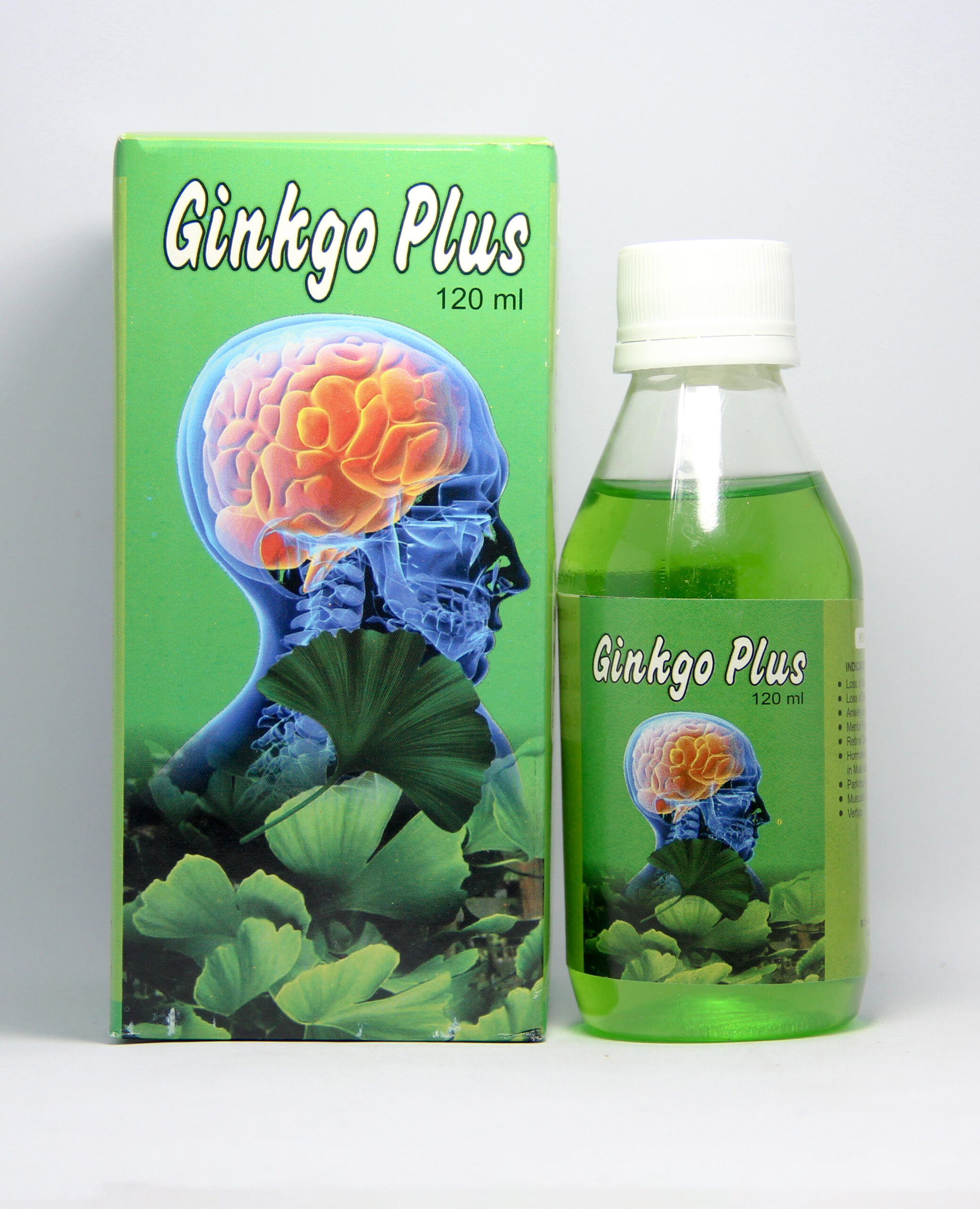 GINKGO PLUS SYRUP